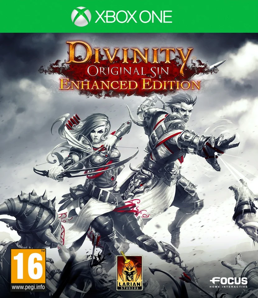 Divinity: Original Sin - Enhanced Edition Afbeelding 1