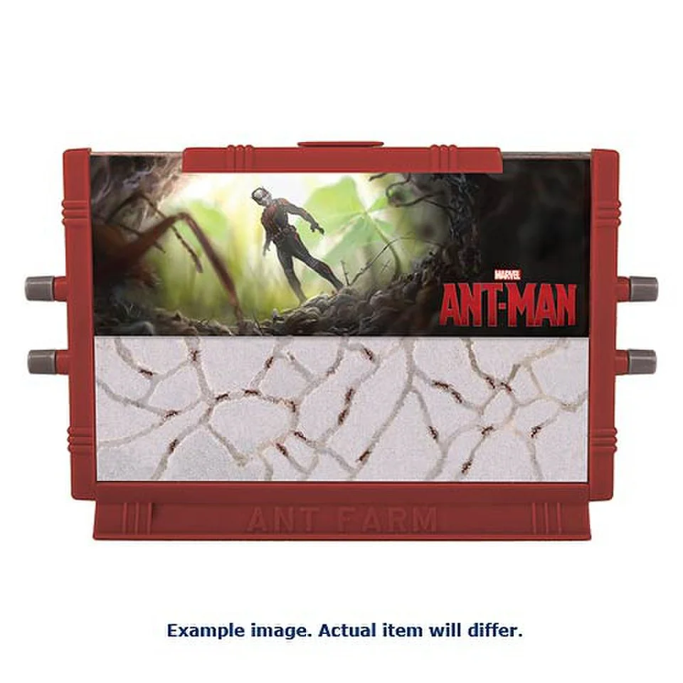 Ant-Man Ant Farm - Marvel Afbeelding 1