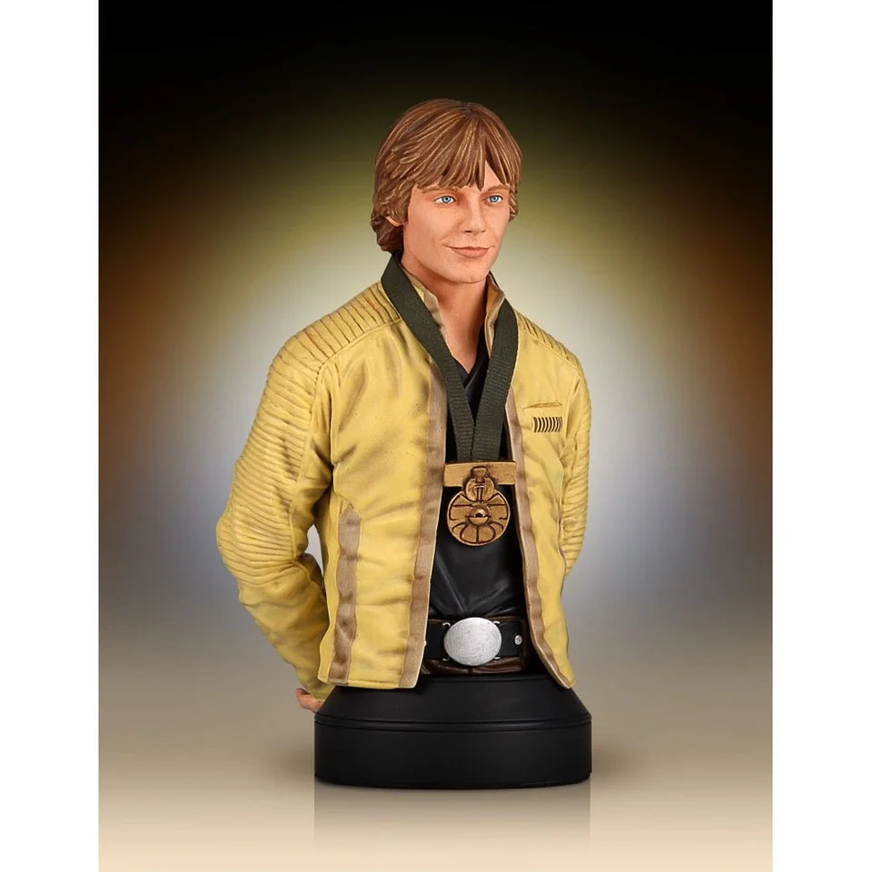 Gentle Giant Star Wars Luke Skywalker Hero Of Yavin 1:6 Scale Bust Afbeelding 1