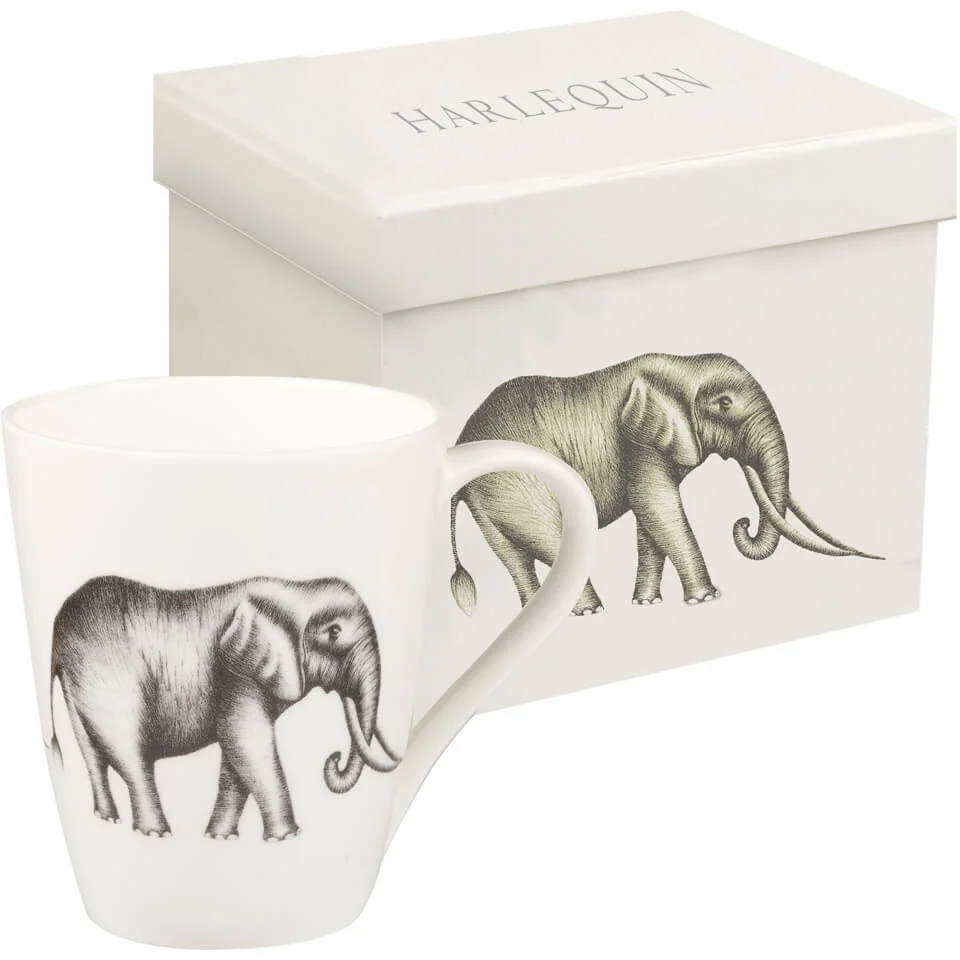 Harlequin Savanna Aspen Mug Gift Box - Opal Afbeelding 1