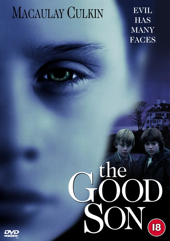 The Good Son Afbeelding 1