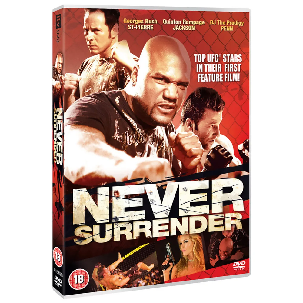 Never Surrender Afbeelding 1