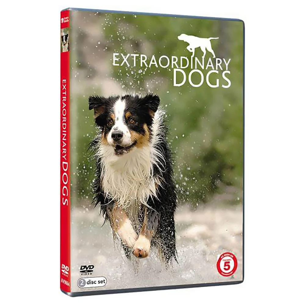 Extraordinary Dogs Afbeelding 1
