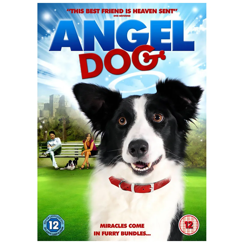 Angel Dog Afbeelding 1