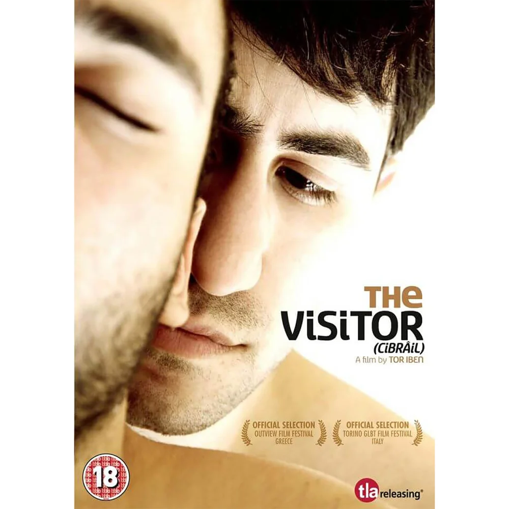 The Visitor Afbeelding 1
