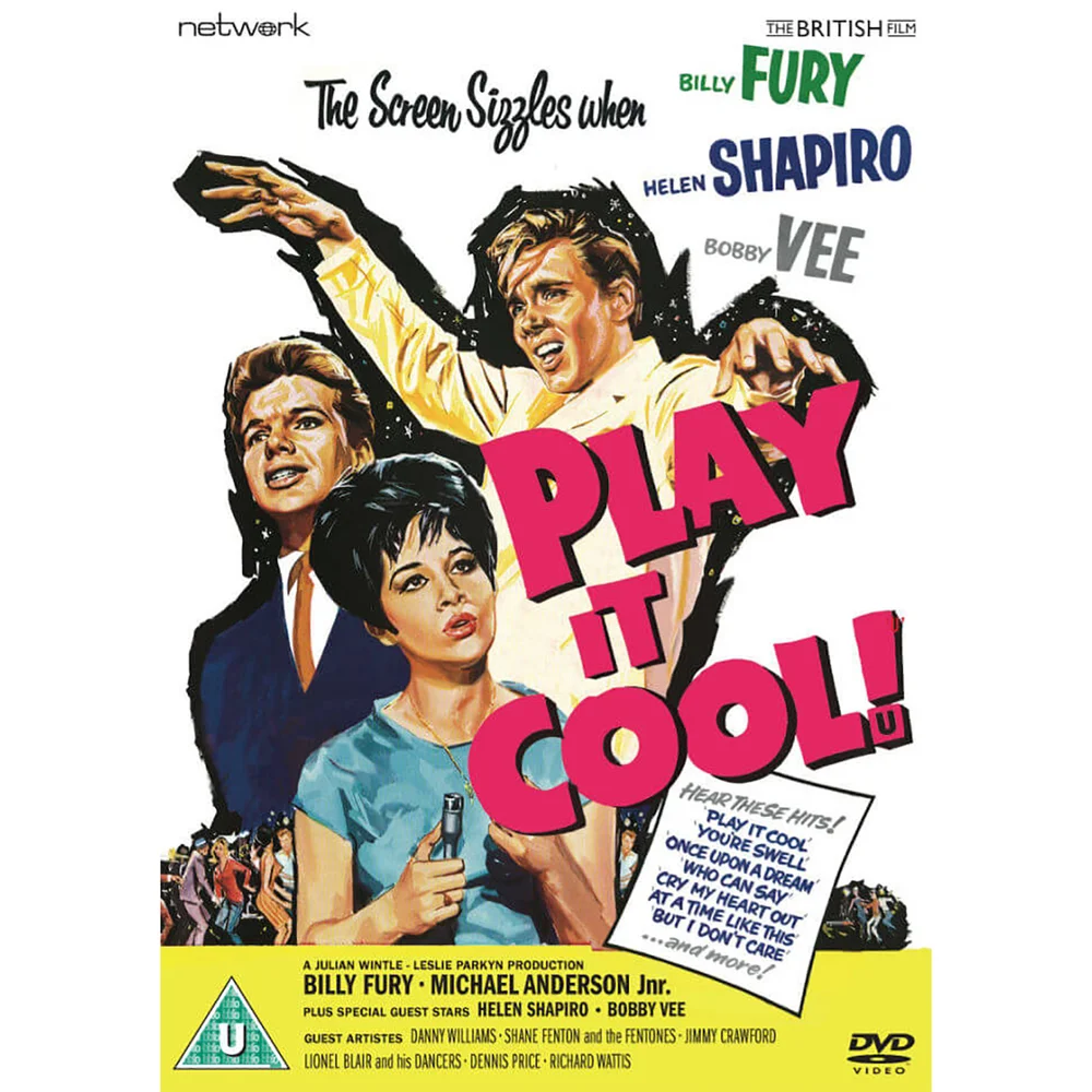 Play it Cool Afbeelding 1