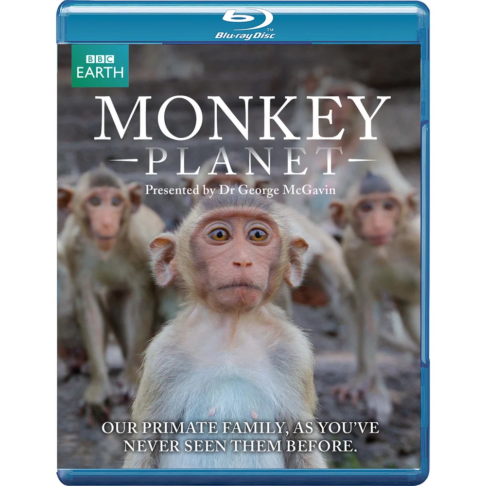 Monkey Planet Afbeelding 1
