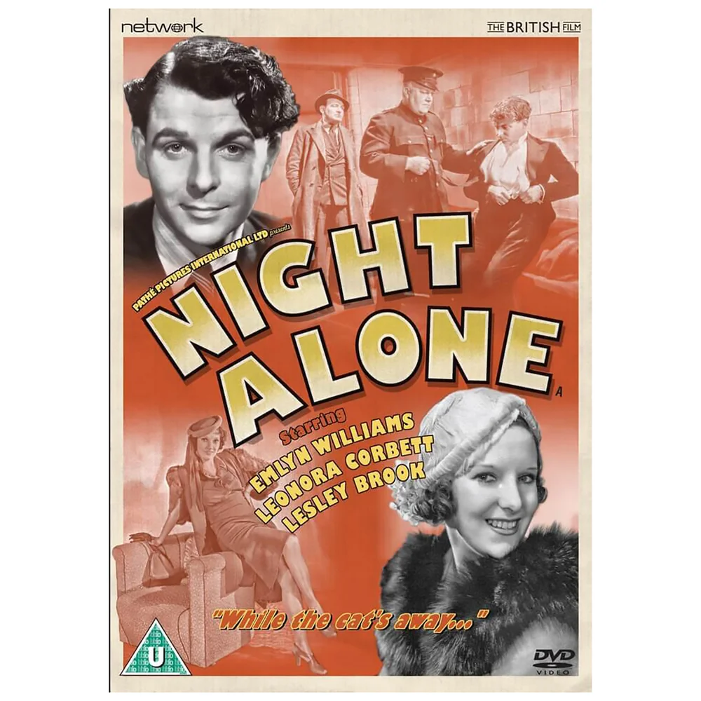 Night Alone Afbeelding 1