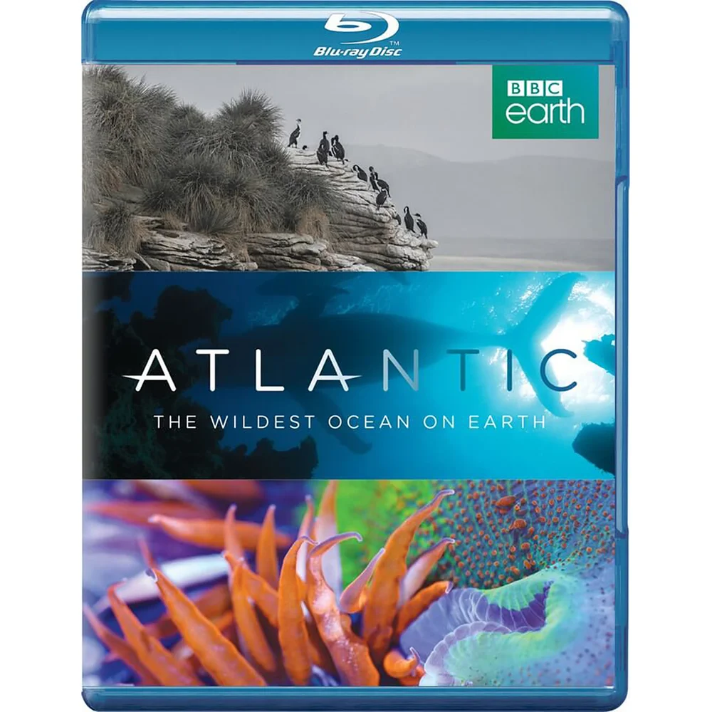 Atlantic: The Wildest Ocean on Earth Afbeelding 1