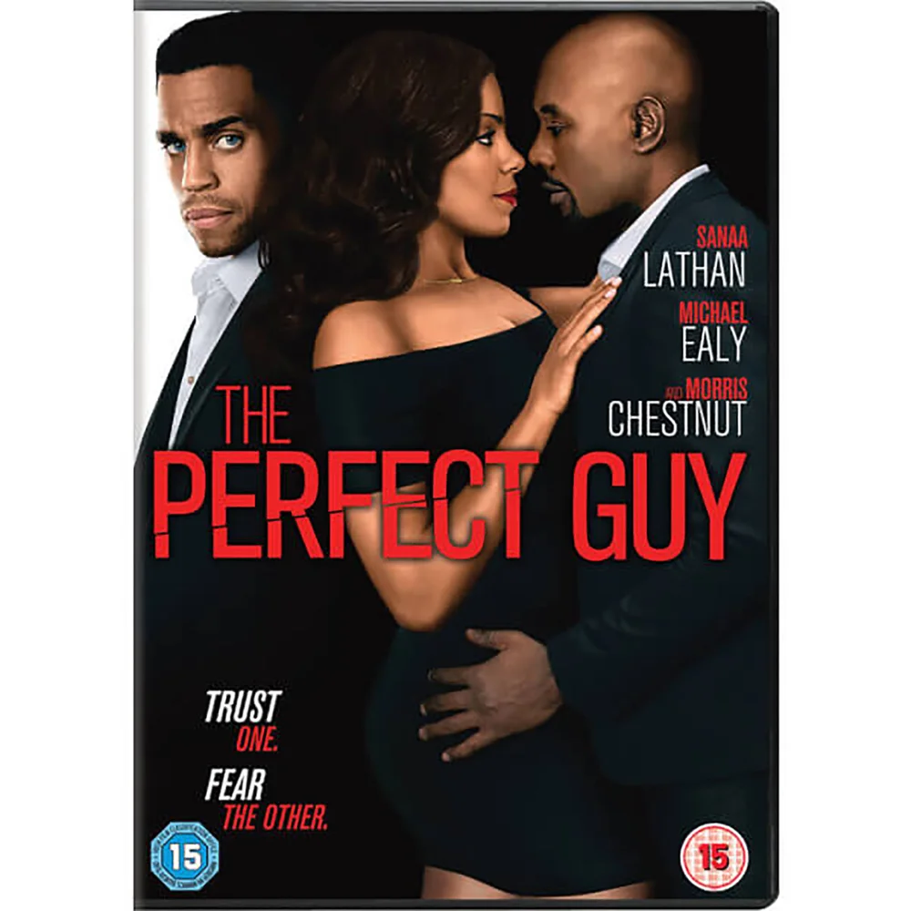 The Perfect Guy Afbeelding 1