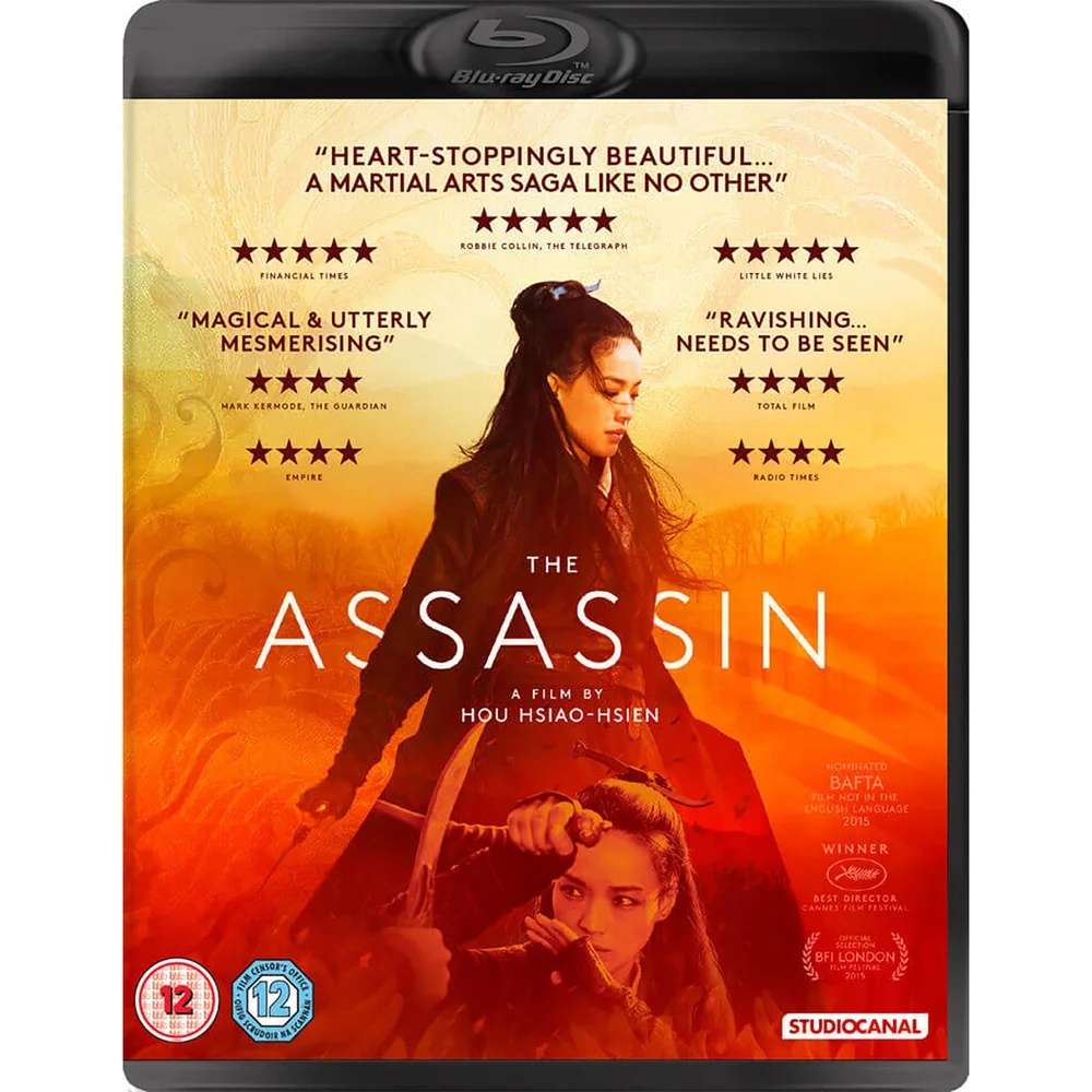 The Assassin Afbeelding 1