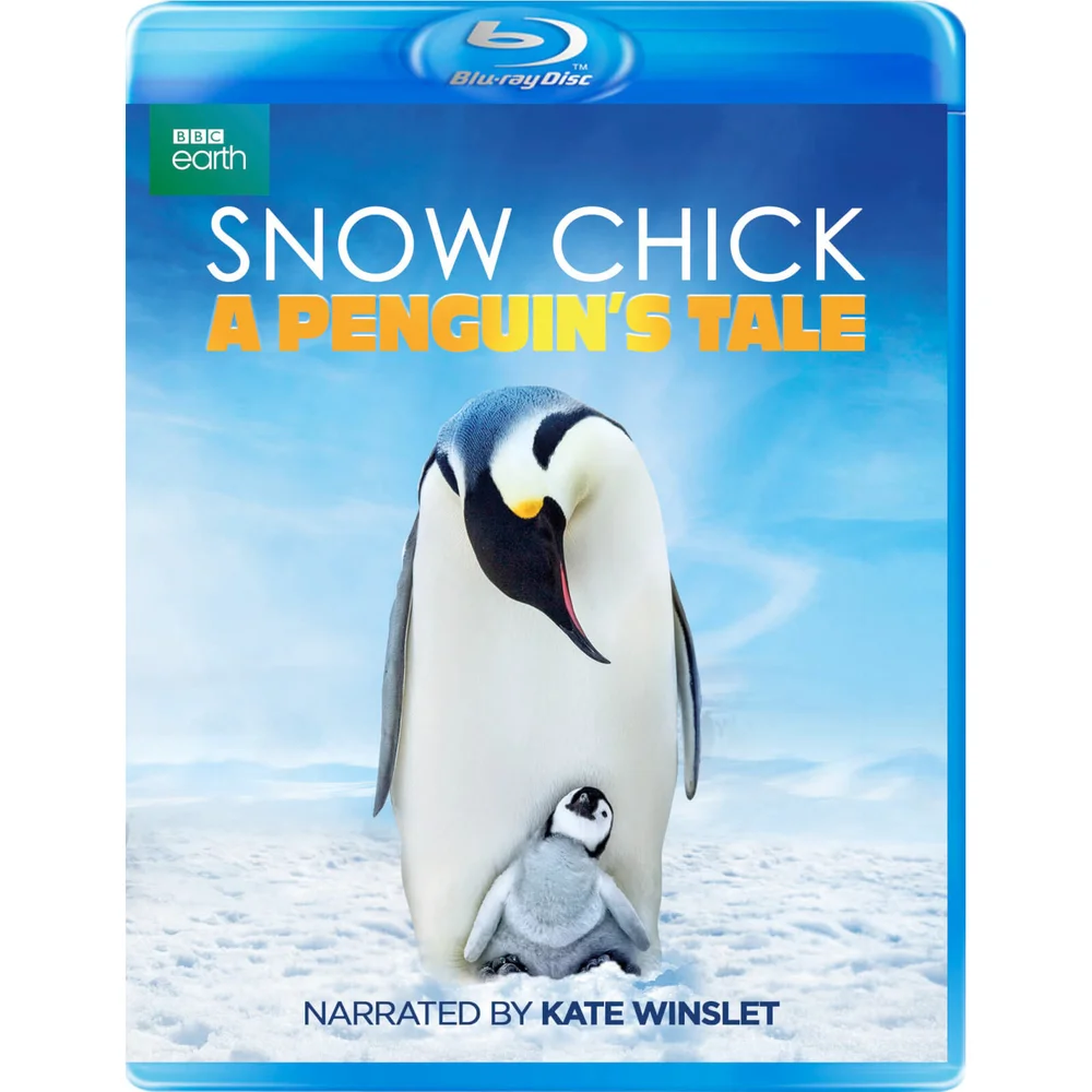 Snow Chick: A Penguin's Tale Afbeelding 1