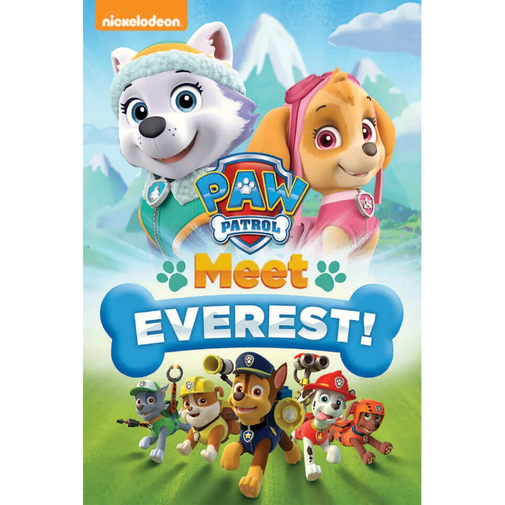Paw Patrol: Meet Everest! Afbeelding 1