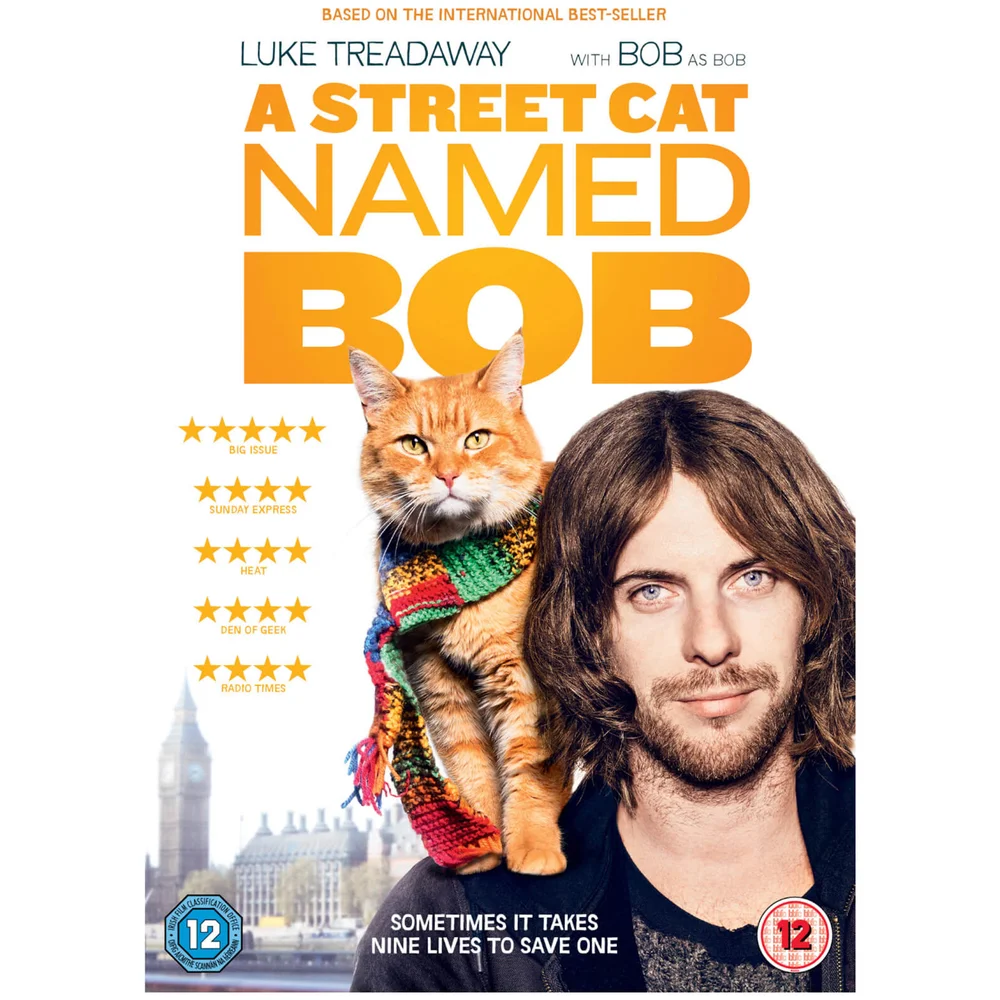 A Street Cat Named Bob Afbeelding 1