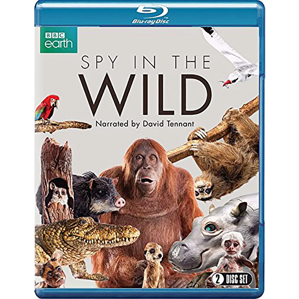 Spy in the Wild Afbeelding 1