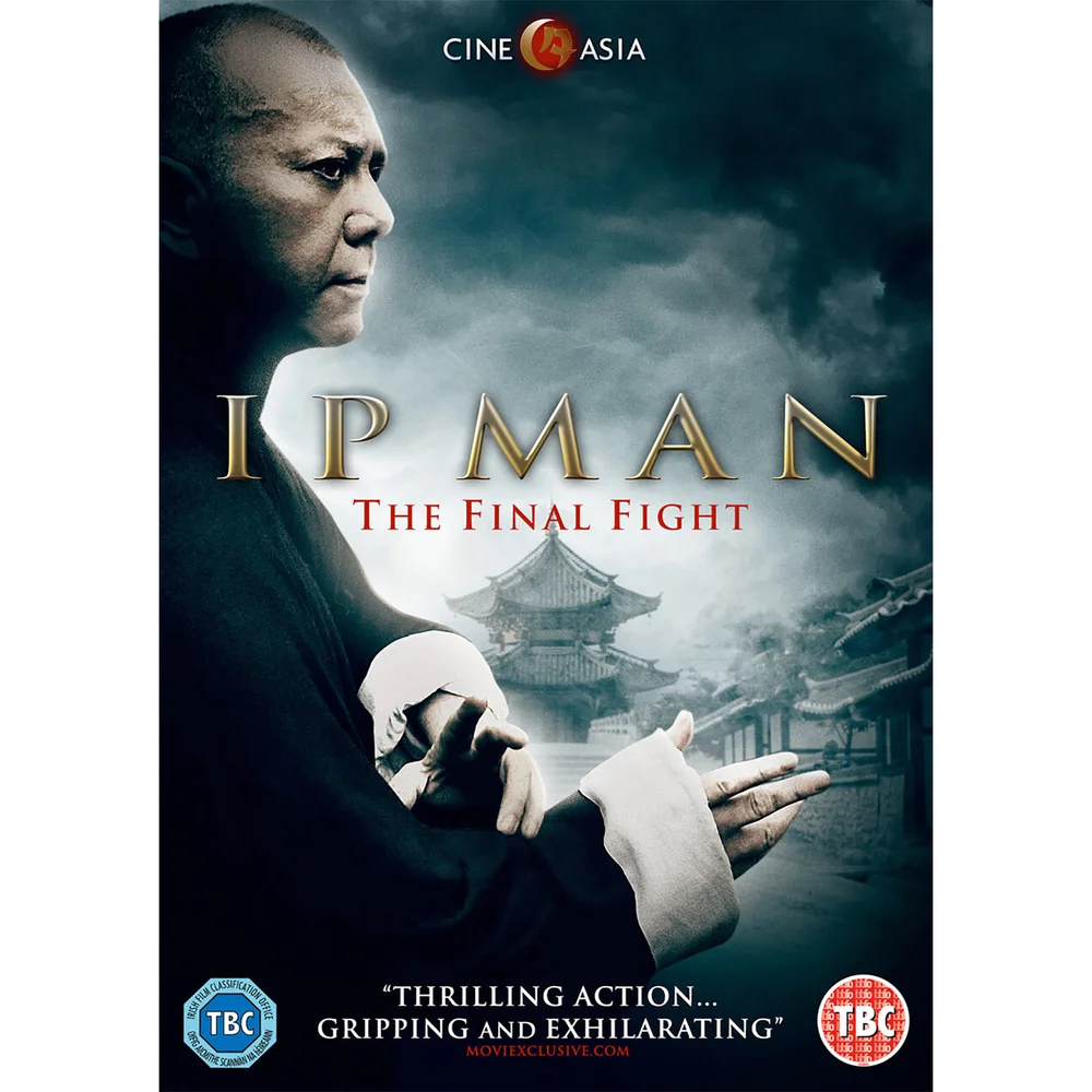 IP Man - The Final Fight Afbeelding 1