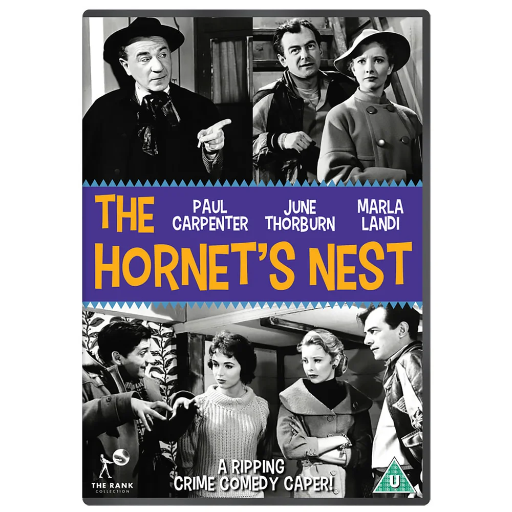 The Hornet's Nest Afbeelding 1