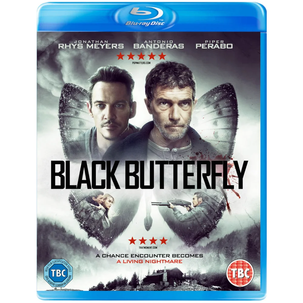 Black Butterfly Afbeelding 1