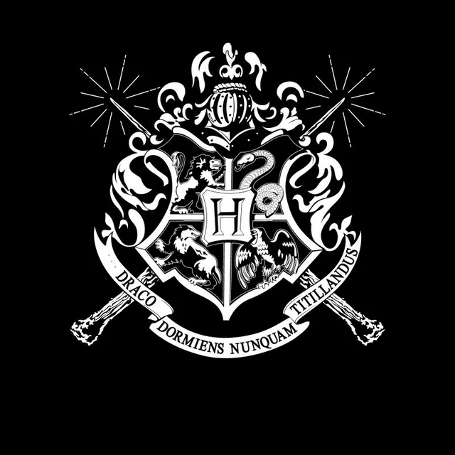Harry Potter Hogwarts T-shirt - Zwart
