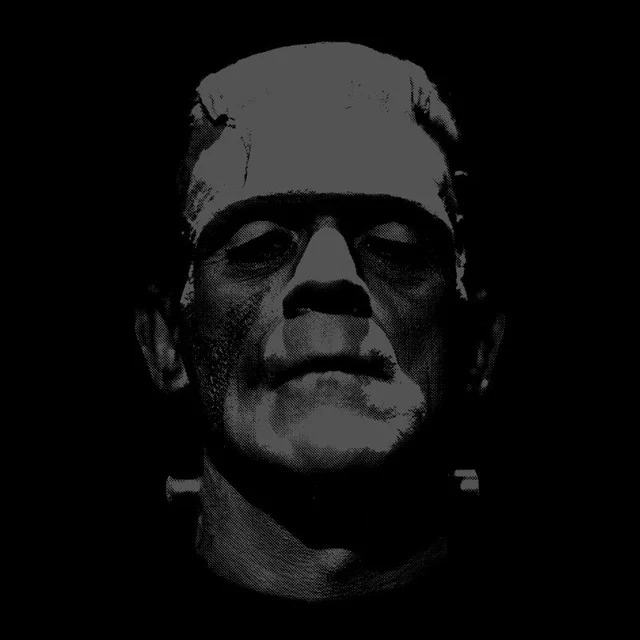 Universal Monsters Frankenstein Black And White T-shirt - Zwart