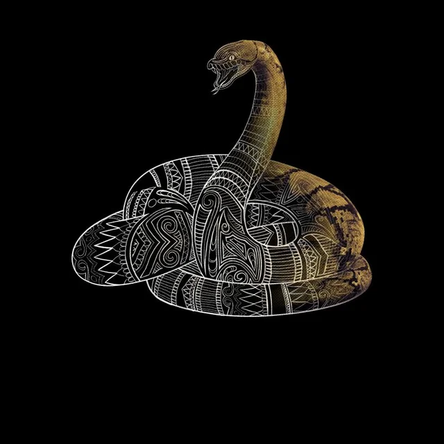 Fantastic Beasts Tribal Nagini t-shirt - Zwart