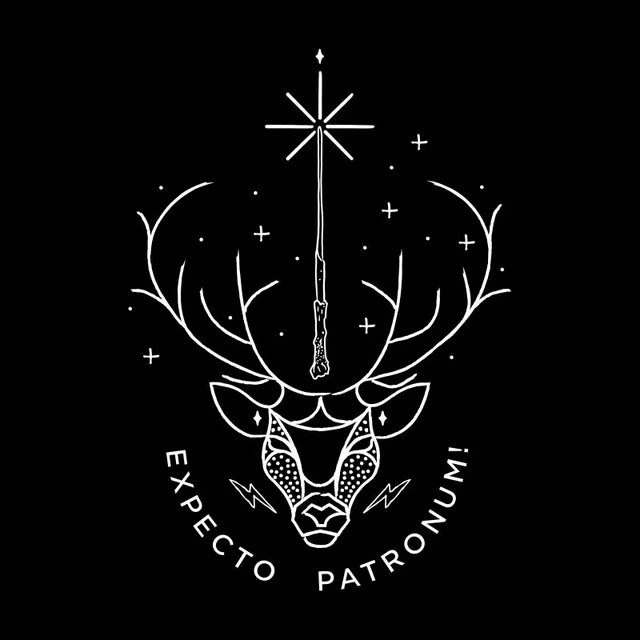 Harry Potter Expecto Patronum t-shirt - Zwart