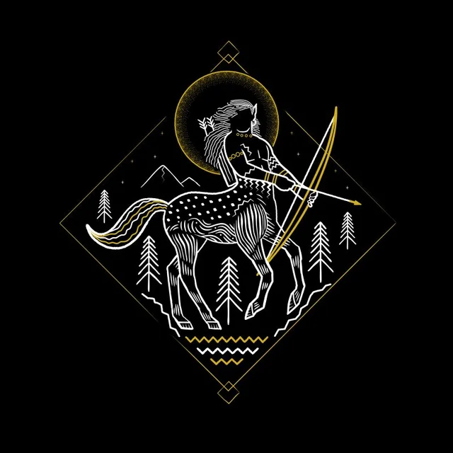 Harry Potter Ban de Centaur t-shirt - Zwart