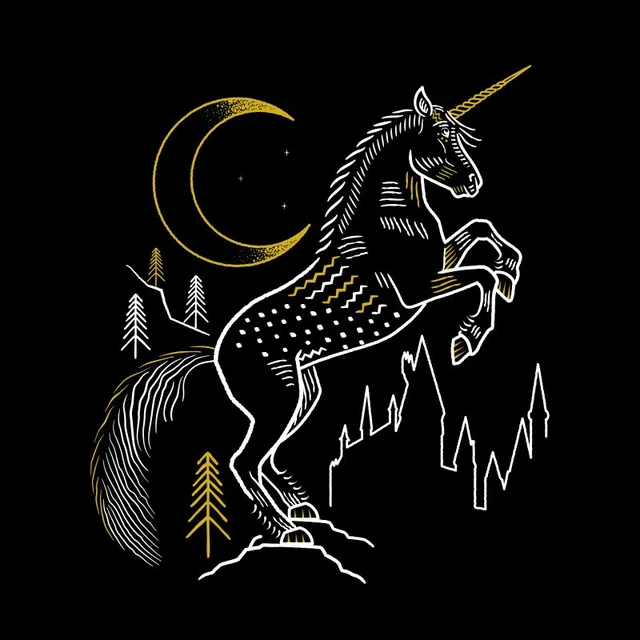 Harry Potter Unicorn t-shirt - Zwart
