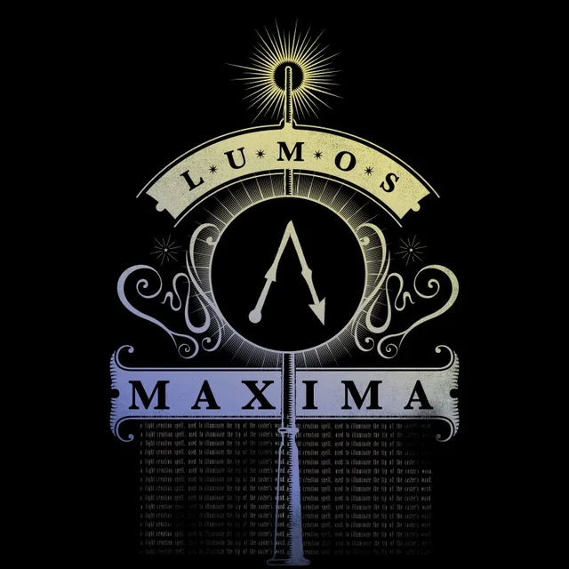 Harry Potter Lumos Maxima t-shirt - Zwart