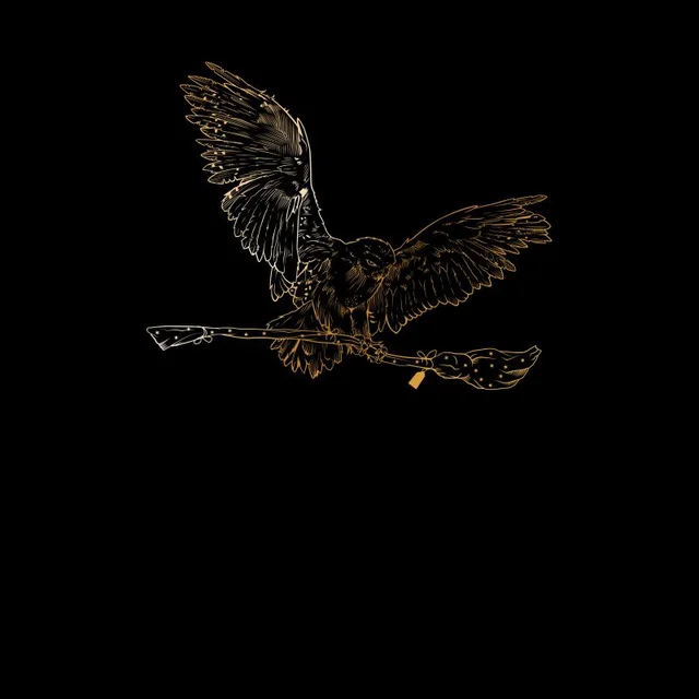 Harry Potter Hedwig Broom Gold t-shirt - Zwart
