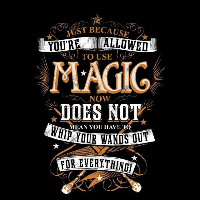 Harry Potter Whip Your Wands Out t-shirt - Zwart