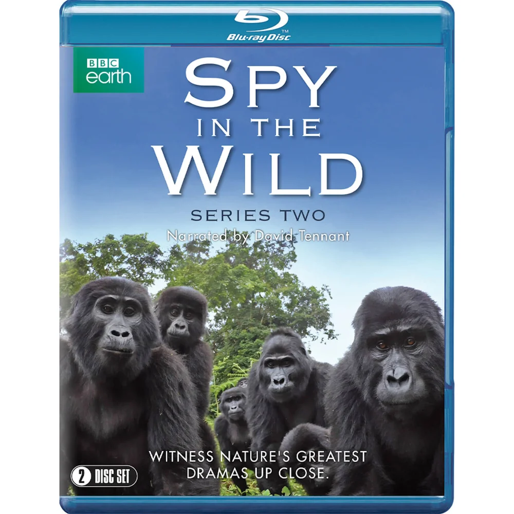 Spion in het Wild: Serie 2 Afbeelding 1