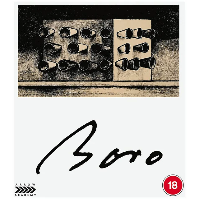 Camera Obscura: De Walerian Borowczyk Collectie