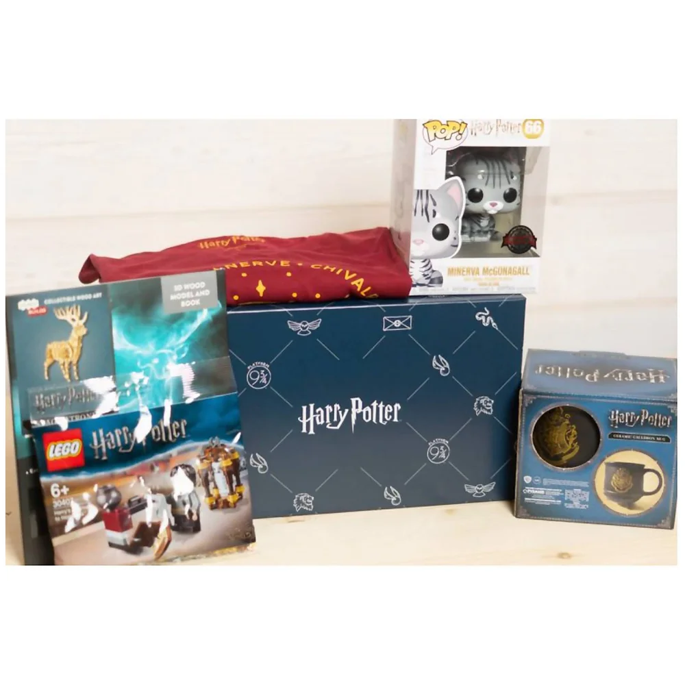 Wootbox Harry Potter feb19 Men's - XL FR Afbeelding 1