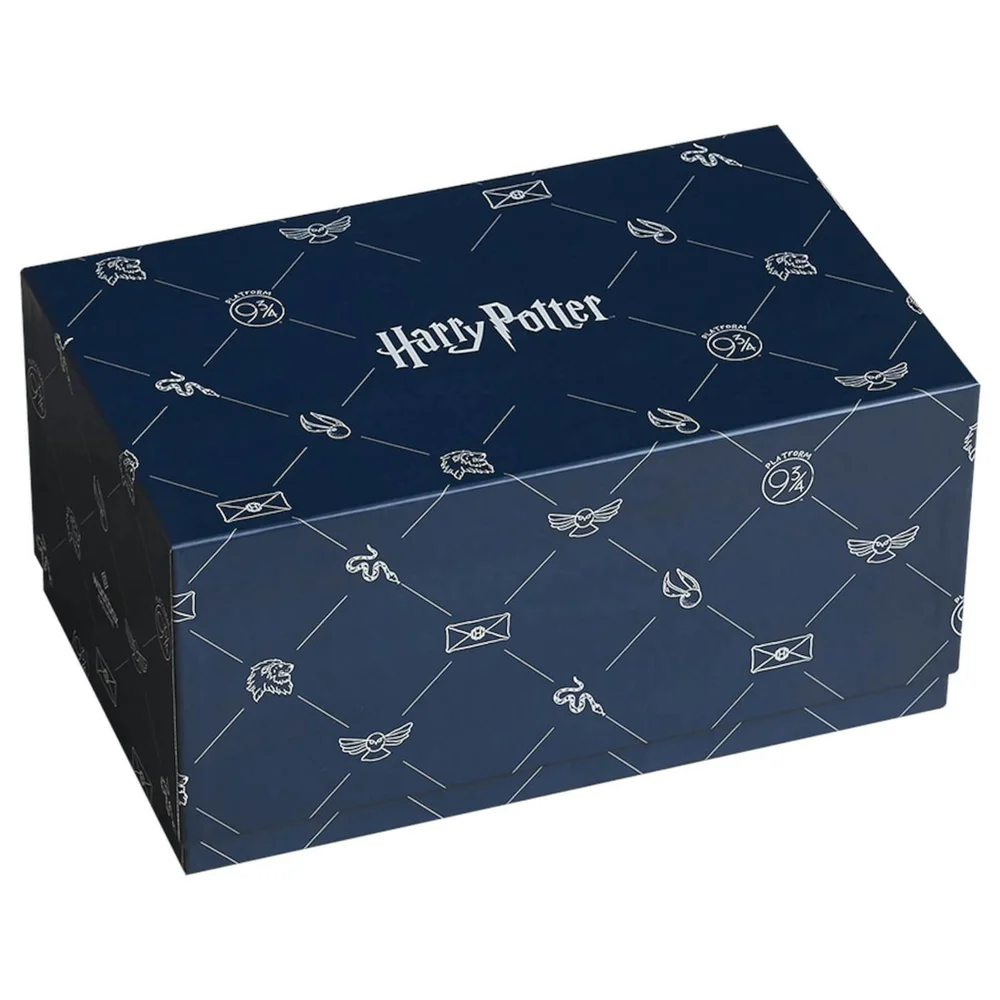 Wootbox Harry Potter Jun19 Men's - XL FR Afbeelding 1