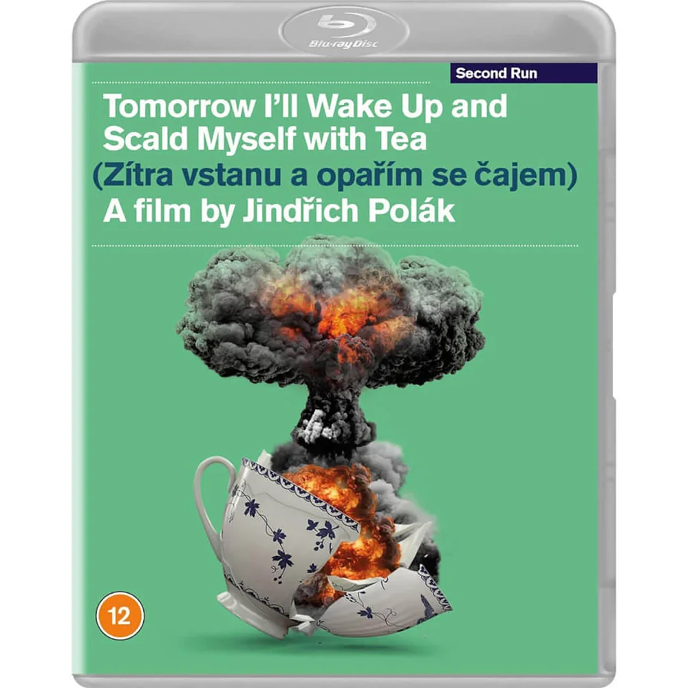 Tomorrow I'll Wake Up and Scald Myself with Tea Afbeelding 1