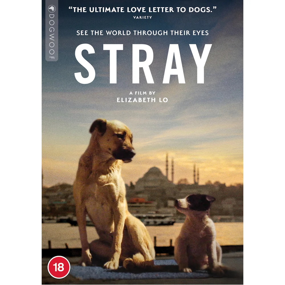Stray Afbeelding 1