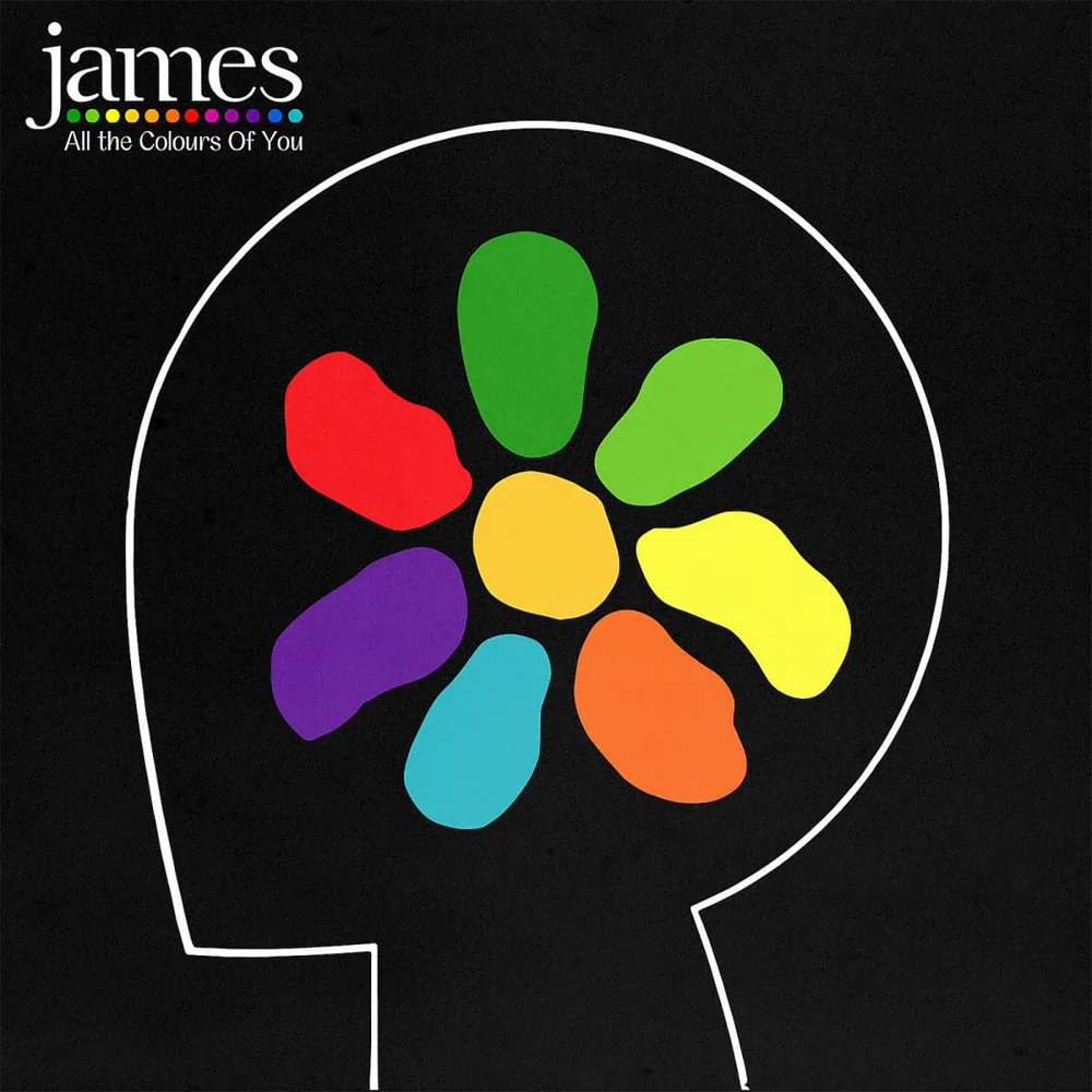 James - All The Colours Of You 2LP Afbeelding 1
