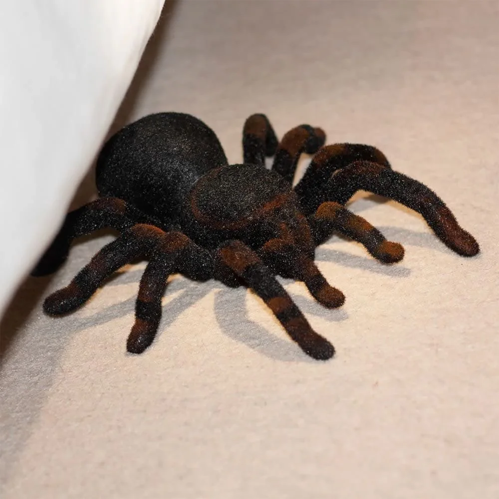RC Tarantula Afbeelding 1