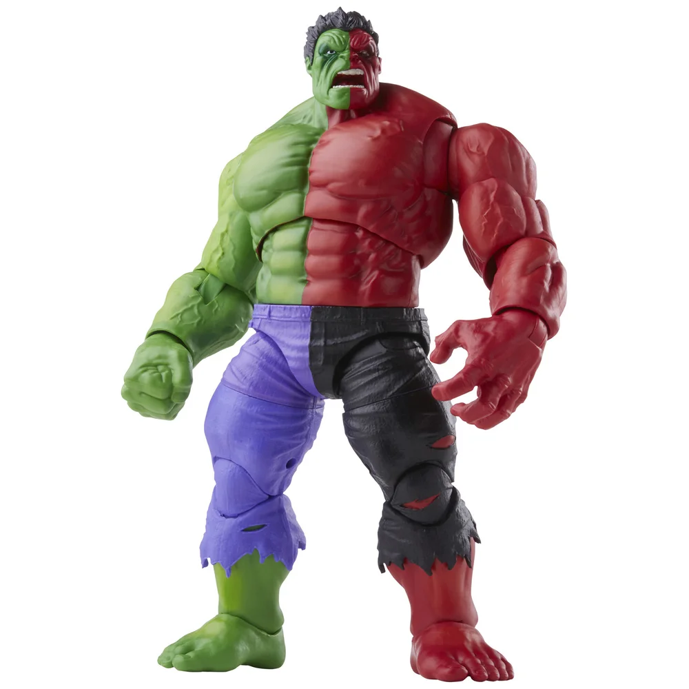 Hasbro Marvel Legends Series Compound Hulk 6 Inch Action Figure Afbeelding 1