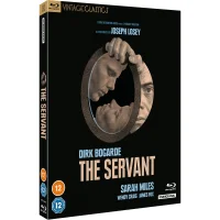 The Servant (Vintage Classics) - undefined undefined
