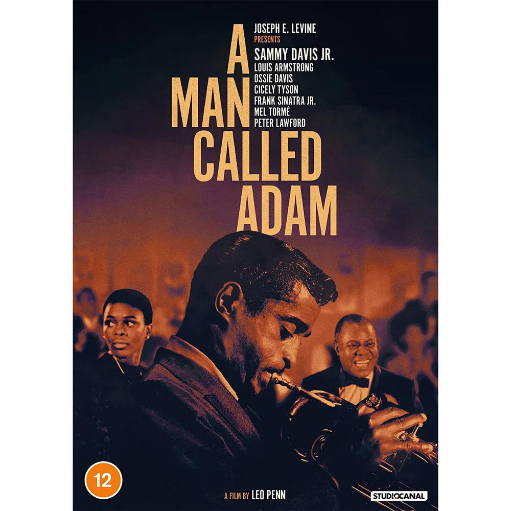 A Man Called Adam Afbeelding 1