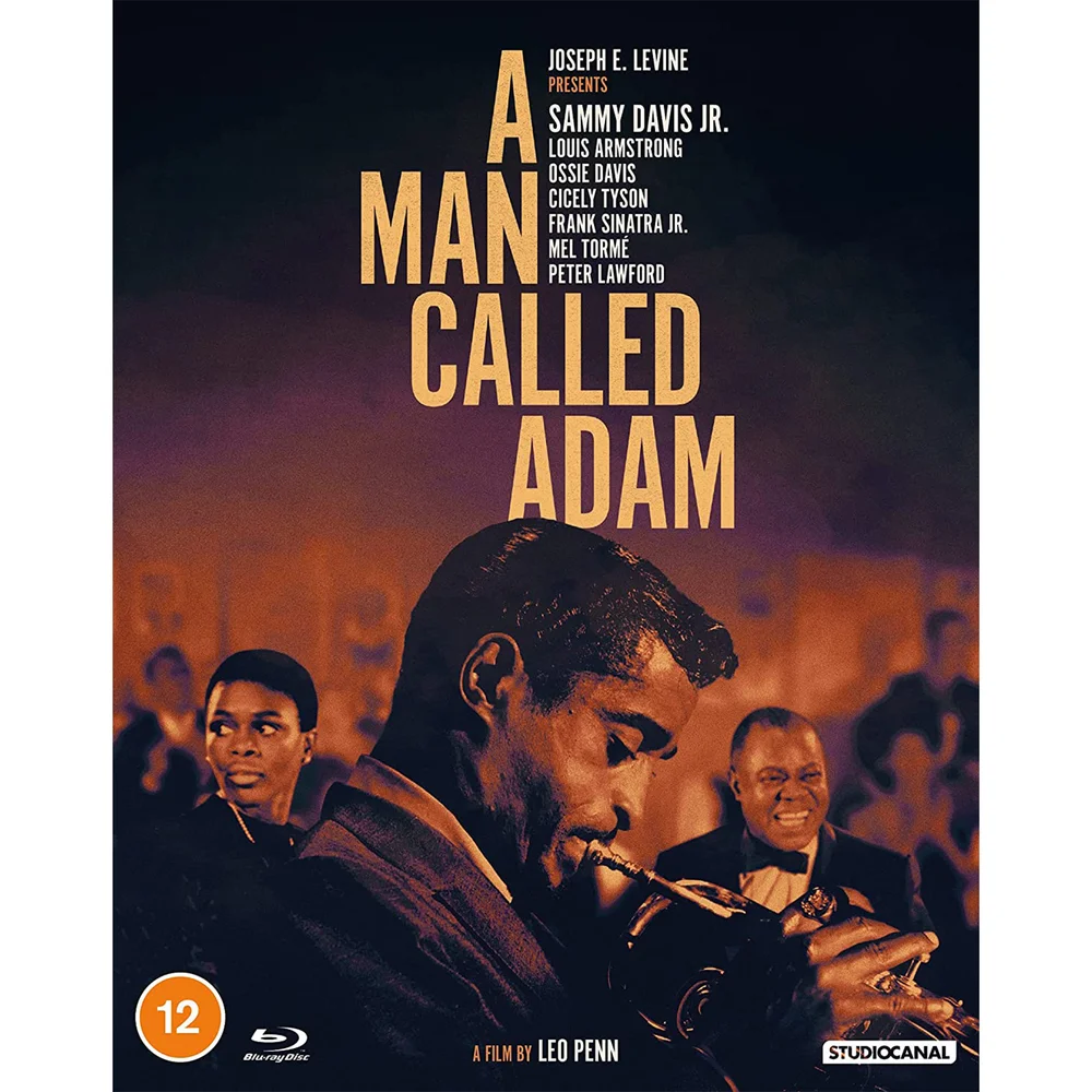 A Man Called Adam Afbeelding 1