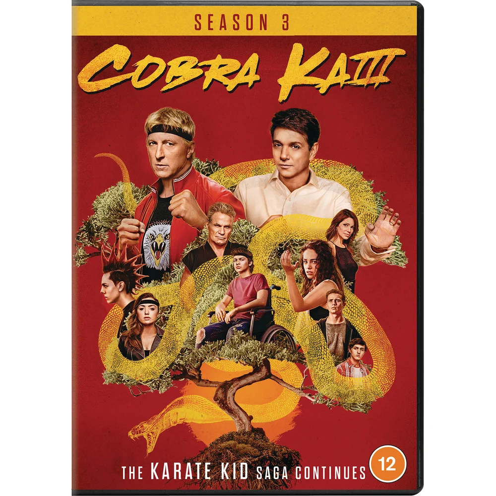 Cobra Kai - Seasons 03 Afbeelding 1