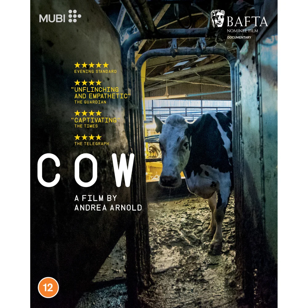 Cow Afbeelding 1