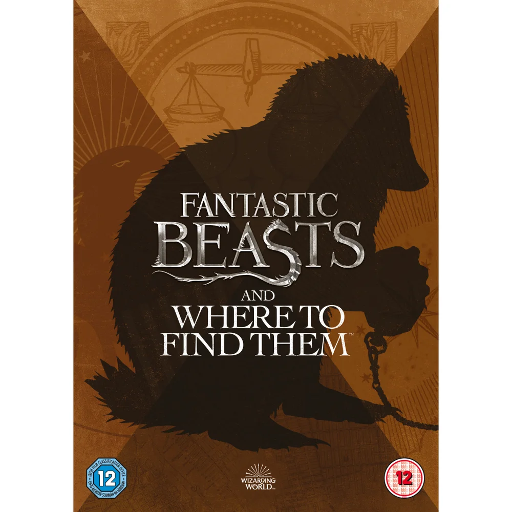Fantastic Beasts and Where to Find Them Afbeelding 1