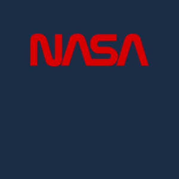 NASA Worm Logotype Hoodie - Navy