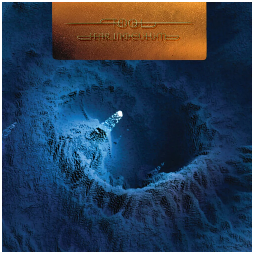 Tool - Fear Inoculum 180g 5xLP Box Set Afbeelding 1