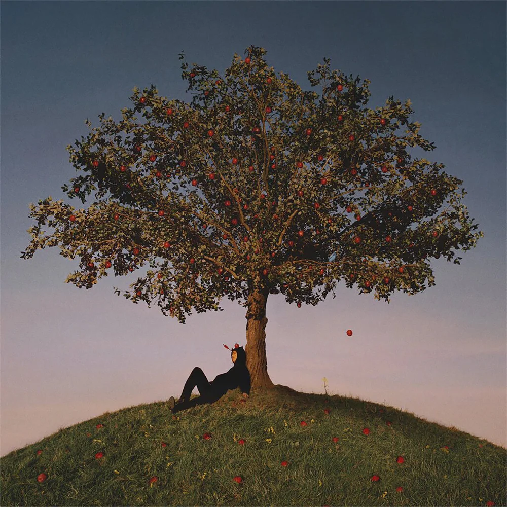 Slowthai - Tyron Vinyl Afbeelding 1