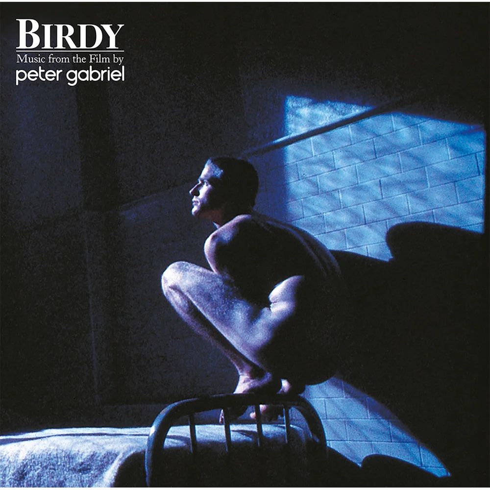 Peter Gabriel - Birdy - Music From The Film Vinyl Afbeelding 1